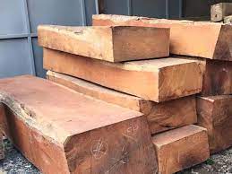 Gỗ hương đá là gỗ gì? Đặc điểm của gỗ Hương đá