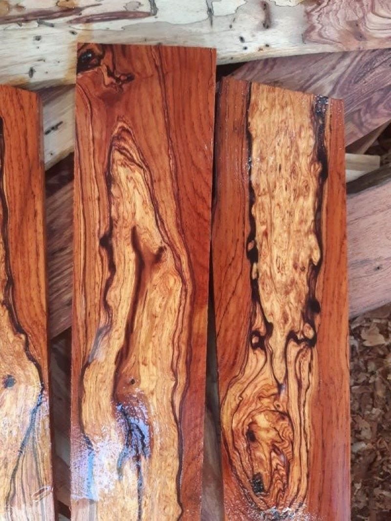 Cây gỗ cẩm lai là cây gì?