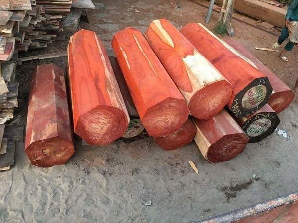 Gỗ Hương Đỏ Nam Phi, Đặc Điểm Và Ứng Dụng